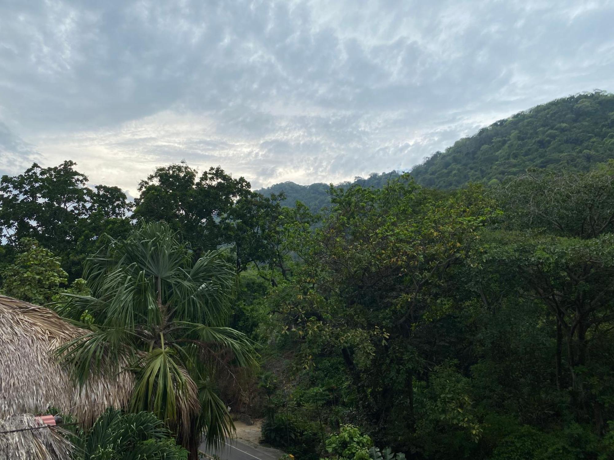 Eco Hostal La Perla Tayrona Ел Заино Екстериор снимка