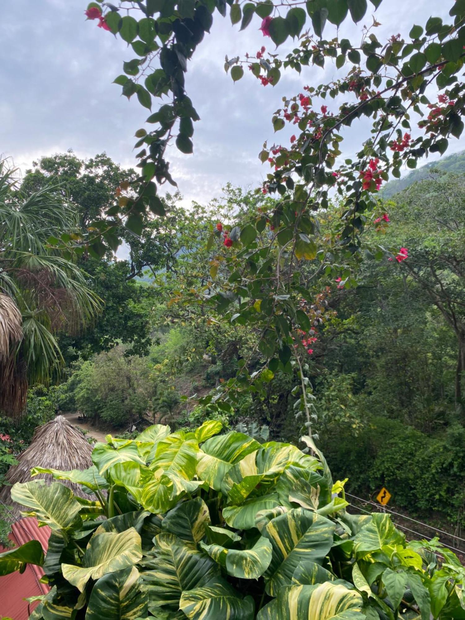 Eco Hostal La Perla Tayrona Ел Заино Екстериор снимка