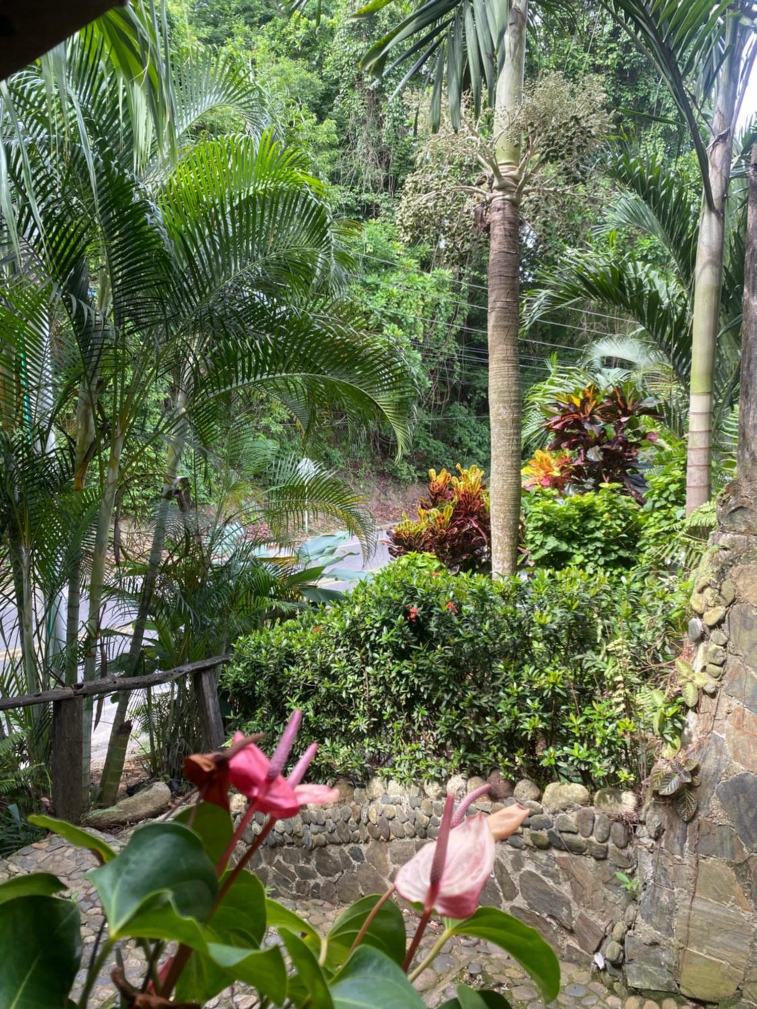 Eco Hostal La Perla Tayrona Ел Заино Екстериор снимка